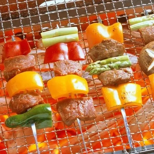 SS304 BBQ Barbecue Grill Mesh 24-30cm Packadge Edge with Handle