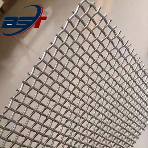 Galvanized Stainless Steel Wire Mesh Crimped Wire Mesh for BBQ