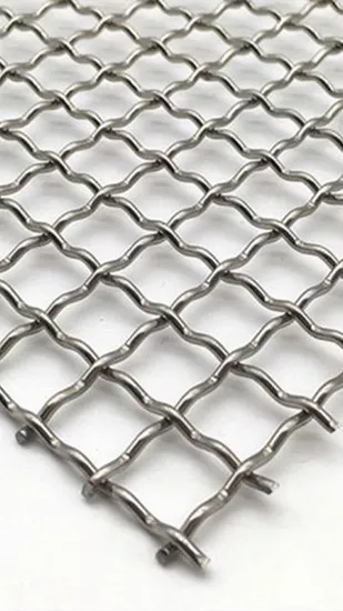 304 Stainless Steel Crimped Wire Mesh for BBQ