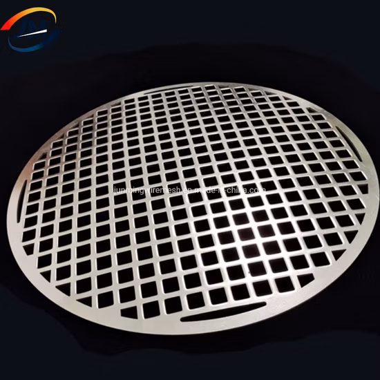 Food Grade Modern Barbecue BBQ Wire Mesh for Camping